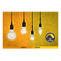 LED FIL G95 806LM E27 7W DIM TO WARM 180 photo du produit visuel_2 S