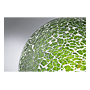 LED G125 MIRACLE MOSAIC 470LM GREEN GRD photo du produit visuel_3 S