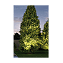 OUTD PLUG & SHINE ENCASTRE SOL LED IP67 photo du produit visuel_7 S