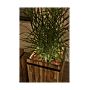 OUTDOOR LINK + LIGHT 80CM 3000K FLOWER B photo du produit visuel_6 S