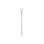 PRO RUBAN LED CLASSE ARGENT P150 5M 865 photo du produit visuel_1 S